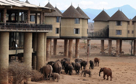 3-Days Tsavo East and Taita Hills Wildlife Sanctuary 